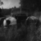 Put Out to Pasture
