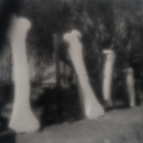 Bone Garden