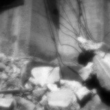Rubble and Ruin